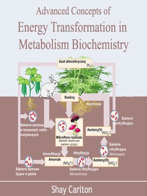 cover image of Advanced Concepts of Energy Transformation in Metabolism Biochemistry